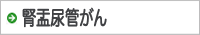 腎盂尿管がん