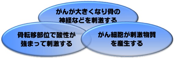 RI内用療法(核医学治療 Image description