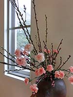 入学式 Image description
